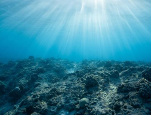 La industria que salió de un libro: la minería marina en el mundo