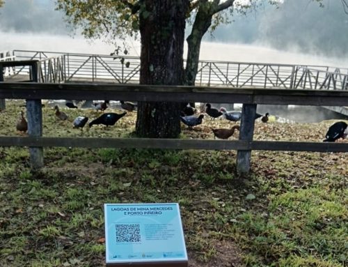 ¿Conoces los puntos de interés de Patrimonio Minero de Galicia?