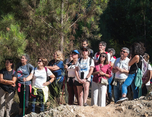 La COMG organiza una ruta de patrimonio geominero en el Pico Sacro