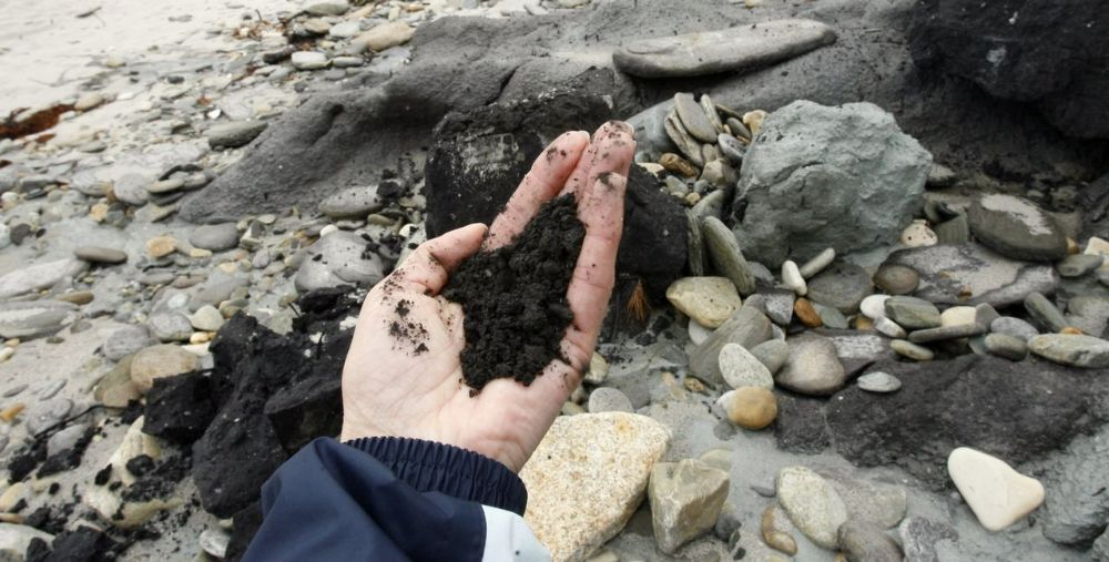 Turba negra minería sostenible de Galicia